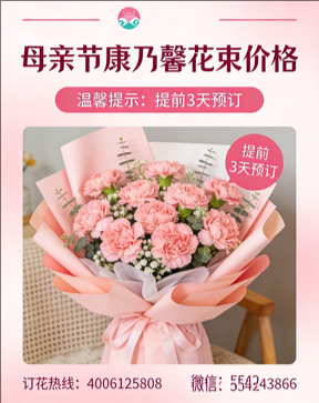 苏州姑苏区花店母亲节康乃馨花束