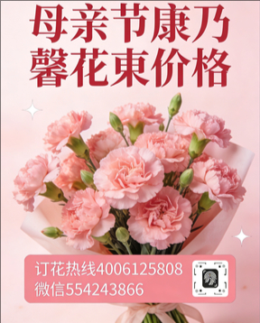 苏州姑苏区花店母亲节康乃馨花束